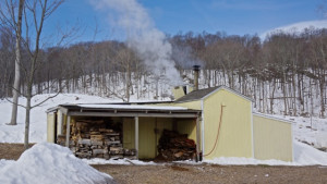 Syrup Shed with steam rising