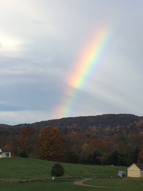 rainbow-over-pasture