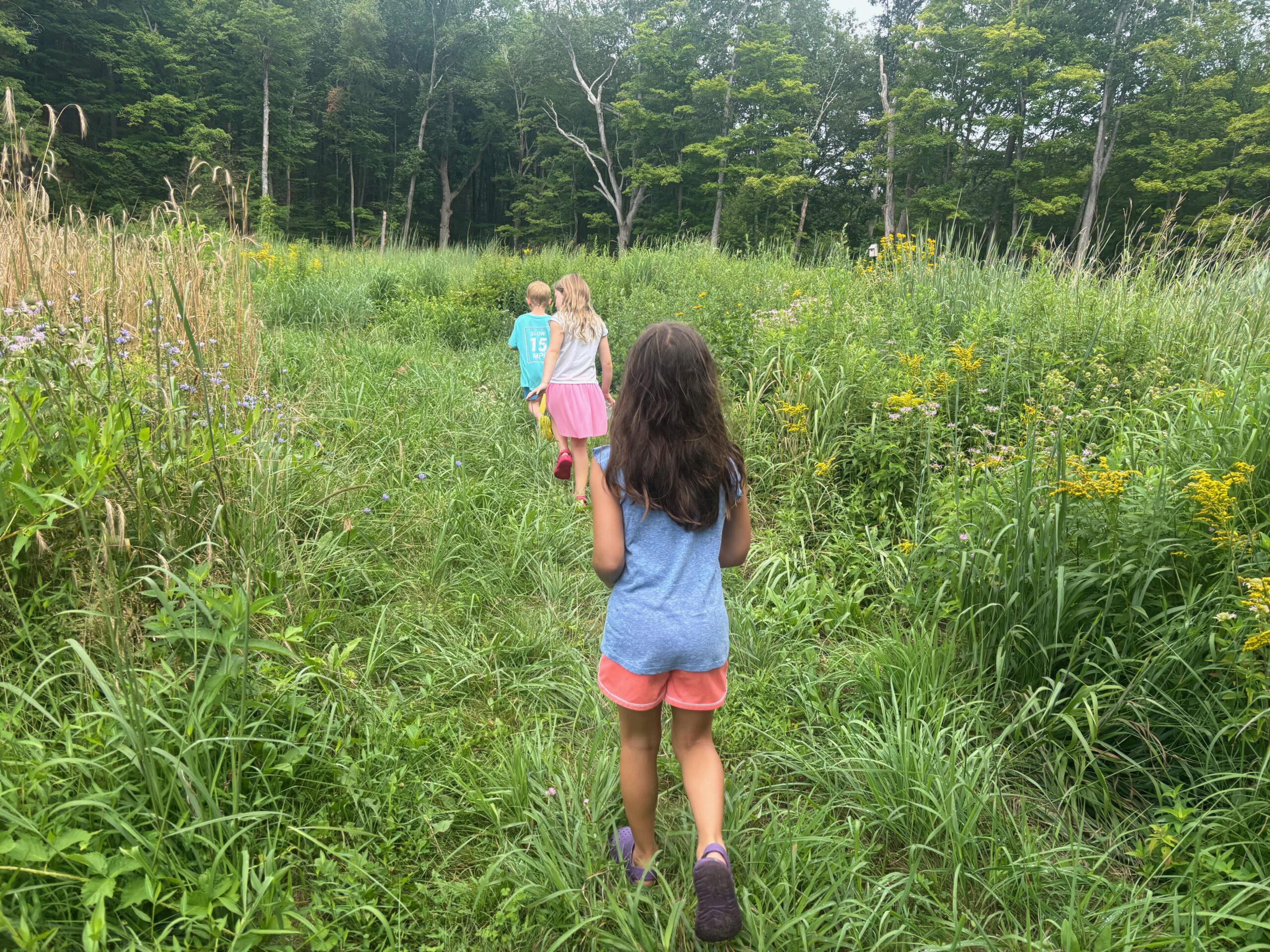 Afternoons at the Farm, Grades 2-4