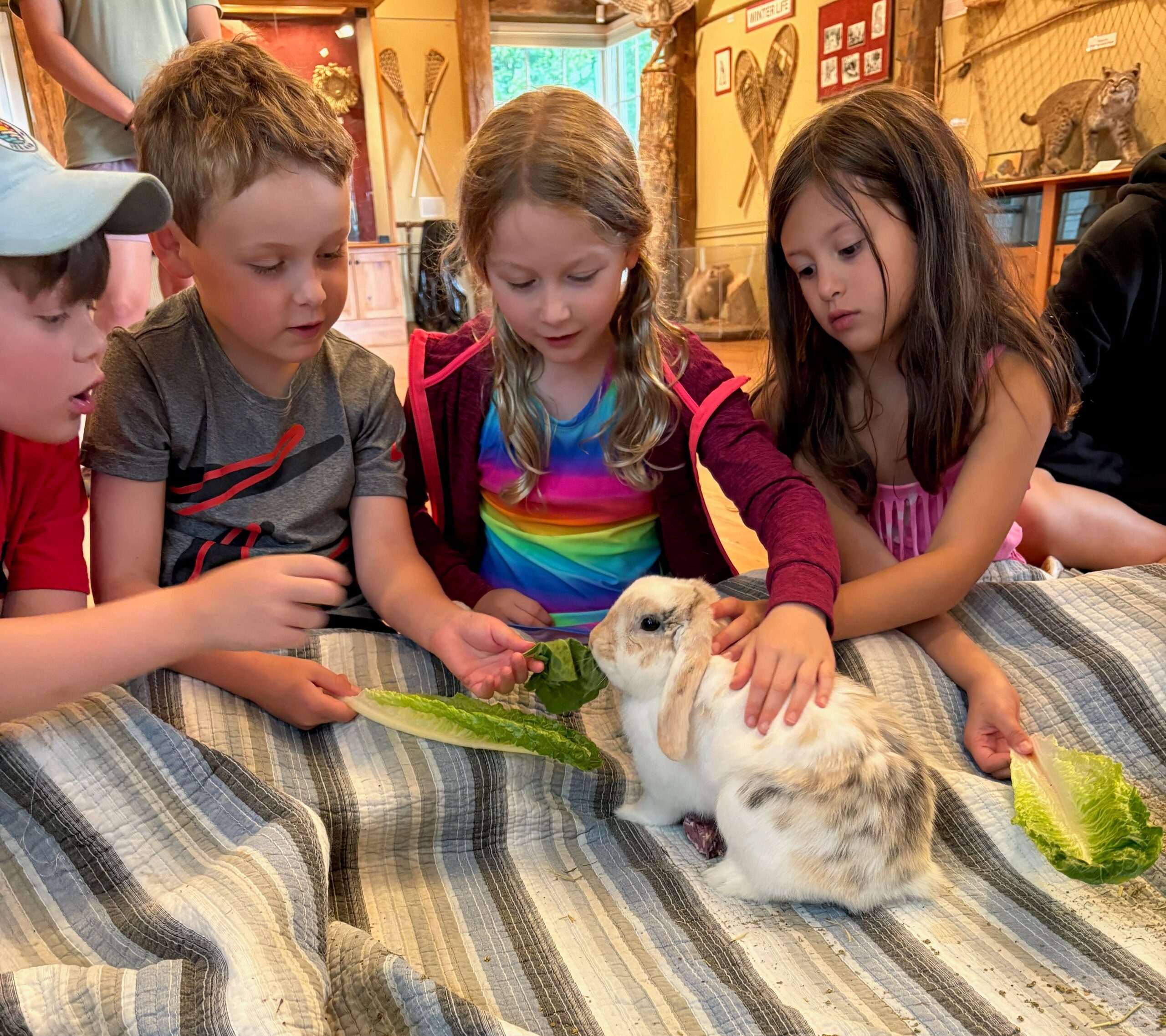 Animal Care Club, Grades 2-4