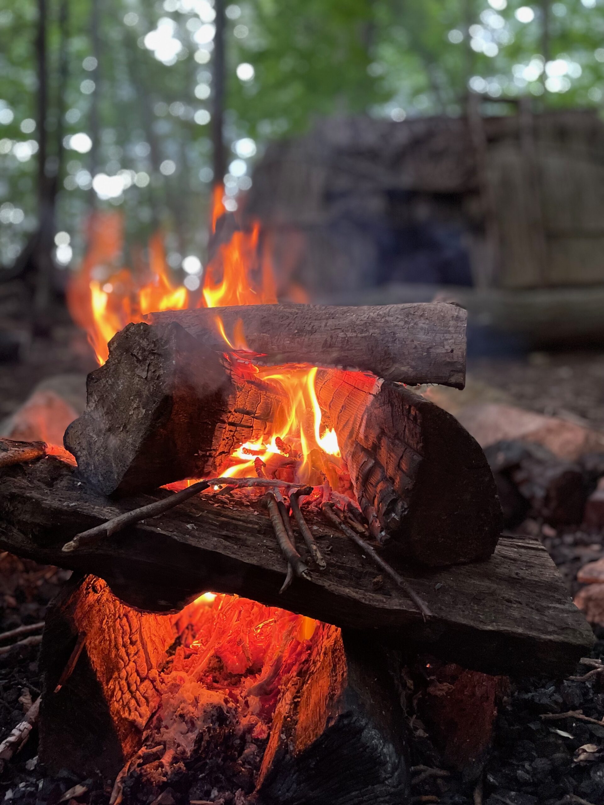 Winter Solstice Family Campfire