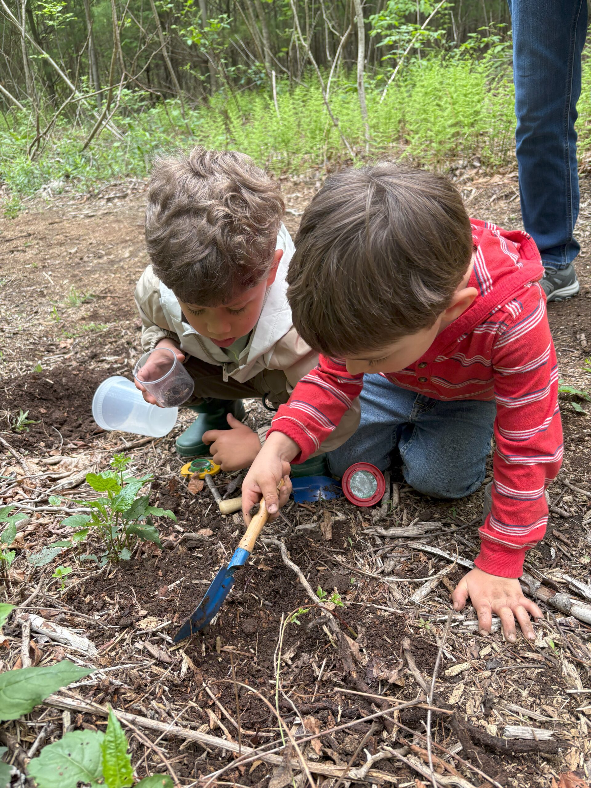 Nature Explorers, Ages 3 - 5
