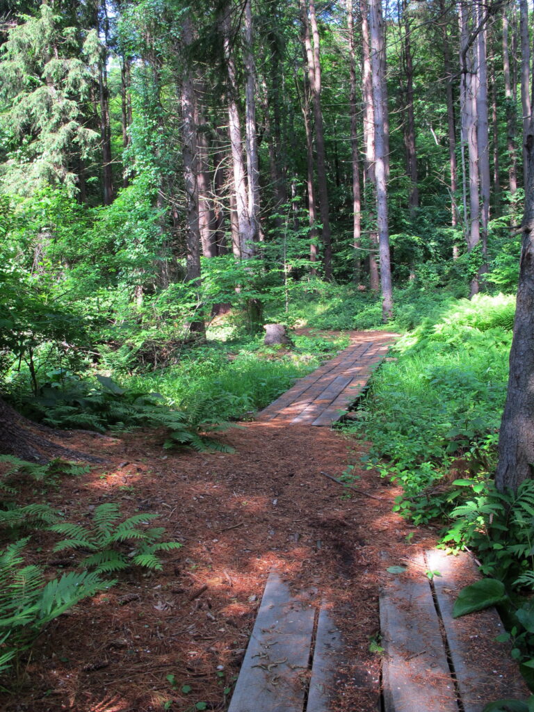 Redding Land Trust 1